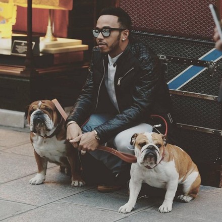 Just me and my dogs... Literally 😄🇫🇷 https://t.co/uJZXf1vO0L https://t.co/EnbIS1e6cL