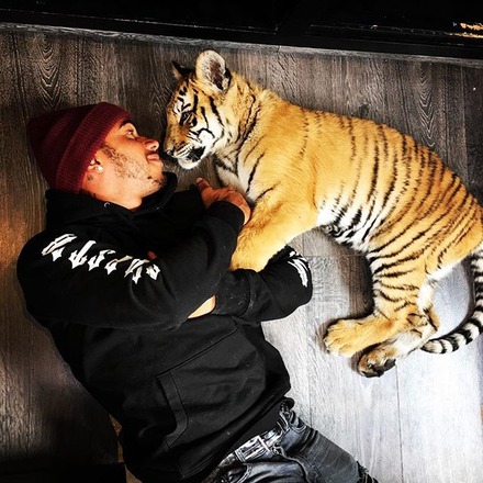 I miss my favourite girl Nicole the Tiger. She's recovering well. As you can see, we're pretty close. She's the sweetest girl plus if you mess with me, she'll bite your ass or eat you:) Now that's a friend. @blackjaguarwhitetiger #Nicole #tiger #bestbuddies