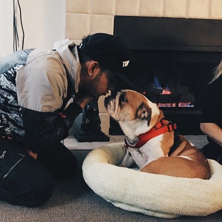 Reunited with my Coconut! I'm so blessed to have these amazing dogs in my life. They bring me so much joy. #bestdogsintheworld #cocohamilton #funniestdogs #englishbulldogs #lovemydogs http://instagram.com/p/whEy7UL0-P/