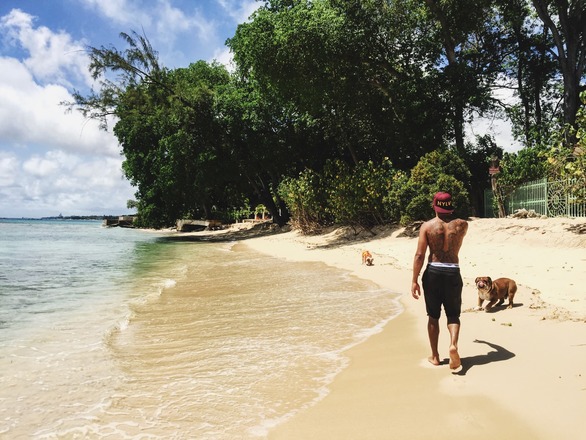 2 weeks until I get on the Bushy Park track in Barbados for an action packed weekend!! 🌴 http://lewis.social/FestivalofSpeed  🔥🔥🔥 ﻿