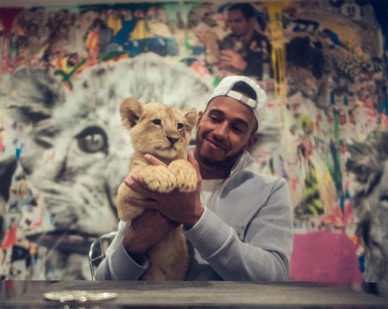 My bro Eddy is always so gracious as to welcome me into his home and to the kids. Love what you do for these beautiful creatures, you know I love them too. God Bless you #blueenergy #lion #healtheworld🌎 #mexico ❤️ @blackjaguarwhitetiger