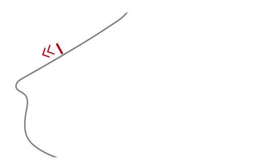 Brazilian GP