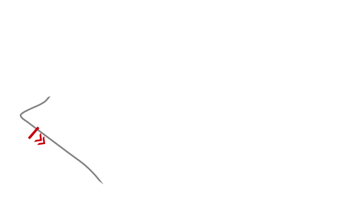 US Grand Prix